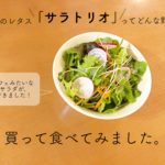 3種のレタス「サラトリオ」ってどんな野菜？買って食べてみました。